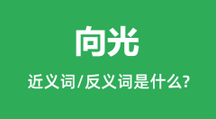 向光的近义词和反义词是什么_向光是什么意思?