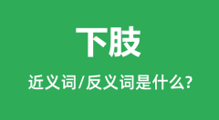 下肢的近义词和反义词是什么_下肢是什么意思?
