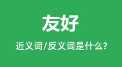 友好的近义词和反义词是什么_友好是什么意思?