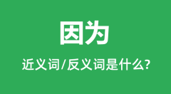 因为的近义词和反义词是什么_因为是什么意思?