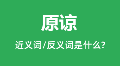 原谅的近义词和反义词是什么_原谅是什么意思?