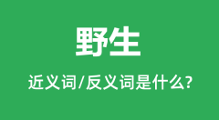 野生的近义词和反义词是什么_野生是什么意思?