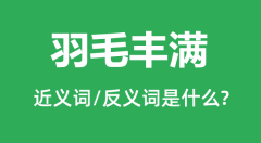 羽毛丰满的近义词和反义词是什么_羽毛丰满是什么意思?