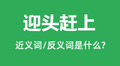 迎头赶上的近义词和反义词是什么_迎头赶上是什么意思?