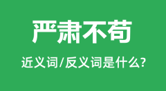 严肃不苟的近义词和反义词是什么_严肃不苟是什么意思?