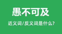 愚不可及的近义词和反义词是什么_愚不可及是什么意思？