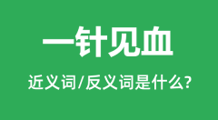 一针见血的近义词和反义词是什么_一针见血是什么意思?