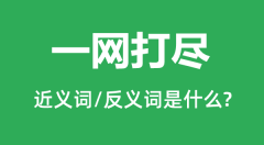 一网打尽的近义词和反义词是什么_一网打尽是什么意思?