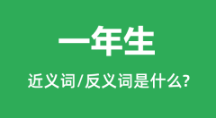 <b>一年生的近义词和反义词是什么_一年生是什么意思?</b>