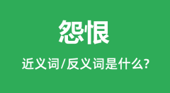 怨恨的近义词和反义词是什么_怨恨是什么意思?