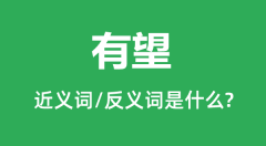 有望的近义词和反义词是什么_有望是什么意思?