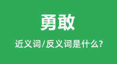 勇敢的近义词和反义词是什么_勇敢是什么意思?