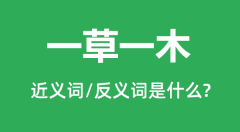 一草一木的近义词和反义词是什么_一草一木是什么意思?