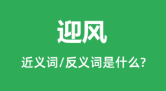 迎风的近义词和反义词是什么_迎风是什么意思?