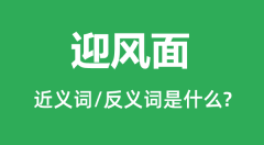 迎风面的近义词和反义词是什么_迎风面是什么意思?
