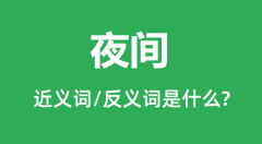 夜间的近义词和反义词是什么_夜间是什么意思?