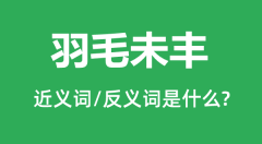 羽毛未丰的近义词和反义词是什么_羽毛未丰是什么意思?