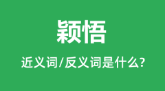 颖悟的近义词和反义词是什么_颖悟是什么意思?