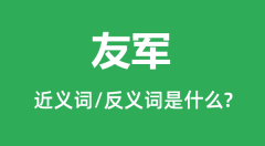 <b>友军的近义词和反义词是什么_友军是什么意思?</b>