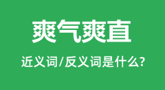 爽气爽直的近义词和反义词是什么_爽气爽直是什么意思？