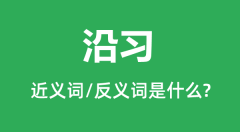 沿习的近义词和反义词是什么_沿习是什么意思?