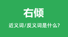 右倾的近义词和反义词是什么_右倾是什么意思?