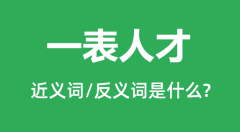 一表人才的近义词和反义词是什么_一表人才是什么意思?