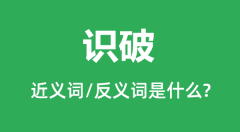 识破的近义词和反义词是什么_识破是什么意思？