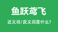 鱼跃鸢飞的近义词和反义词是什么_鱼跃鸢飞是什么意思?