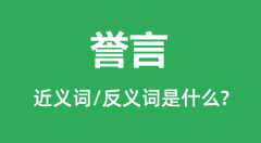 誉言的近义词和反义词是什么_誉言是什么意思?