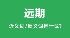 远期的近义词和反义词是什么_远期是什么意思?