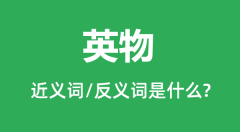 英物的近义词和反义词是什么_英物是什么意思?