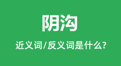 阴沟的近义词和反义词是什么_阴沟是什么意思?