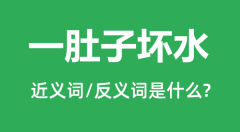 一肚子坏水的近义词和反义词是什么_一肚子坏水是什么意思?