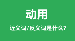 动用的近义词和反义词是什么_动用是什么意思?