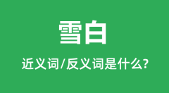 雪白的近义词和反义词是什么_雪白是什么意思?