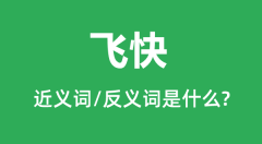 飞快的近义词和反义词是什么_飞快是什么意思?
