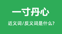 一寸丹心的近义词和反义词是什么_一寸丹心是什么意思?