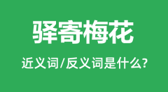 驿寄梅花的近义词和反义词是什么_驿寄梅花是什么意思?