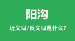 阳沟的近义词和反义词是什么_阳沟是什么意思?