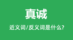 真诚的近义词和反义词是什么_真诚是什么意思?