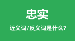 忠实的近义词和反义词是什么_忠实是什么意思?