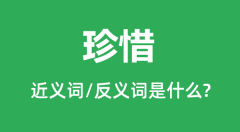 珍惜的近义词和反义词是什么_珍惜是什么意思?