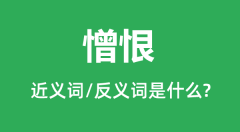 憎恨的近义词和反义词是什么_憎恨是什么意思?