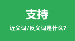 支持的近义词和反义词是什么_支持是什么意思?