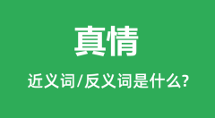 <b>真情的近义词和反义词是什么_真情是什么意思？</b>