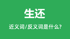 生还的近义词和反义词是什么_生还是什么意思?