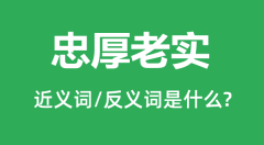 忠厚老实的近义词和反义词是什么_忠厚老实是什么意思?