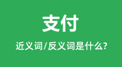 支付的近义词和反义词是什么_支付是什么意思?