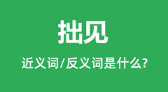 拙见的近义词和反义词是什么_拙见是什么意思?